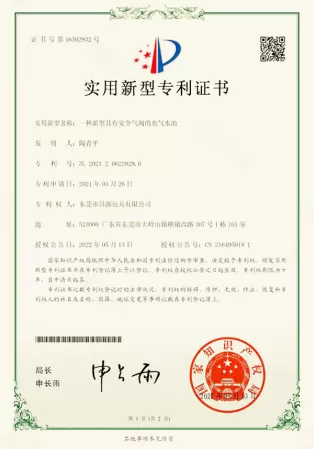Patent